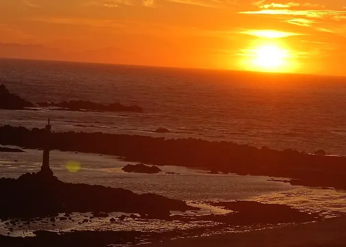 Cachinnans & Vila do Conde