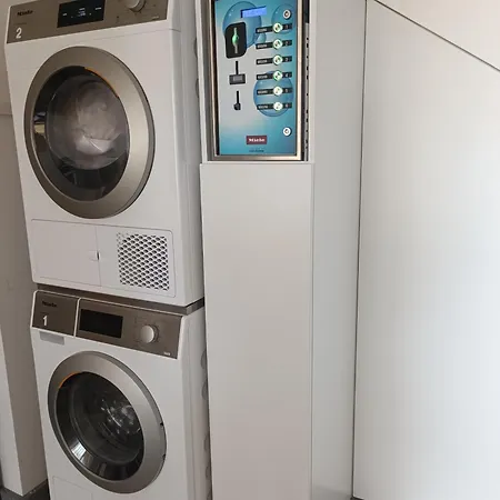 Cachinnans & * Vila do Conde