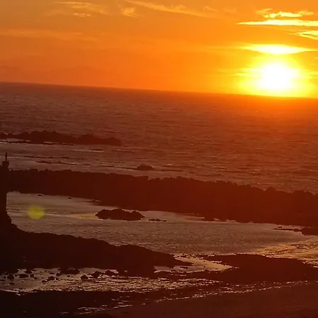 Cachinnans & Vila do Conde