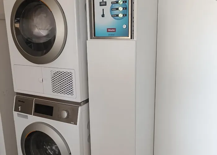 Cachinnans & * 孔迪镇